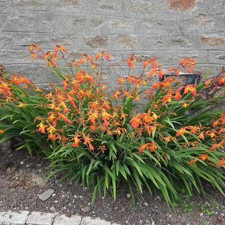 Et Table D'hotes Du Vieil Hetre Mantilly