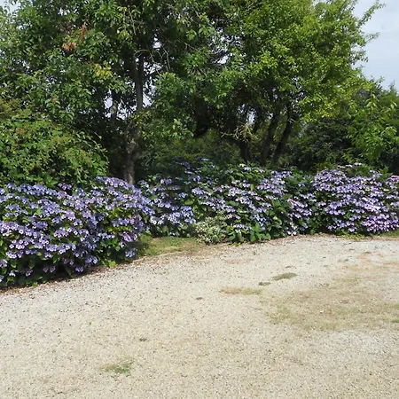 Et Table D'hotes Du Vieil Hetre 3* Mantilly