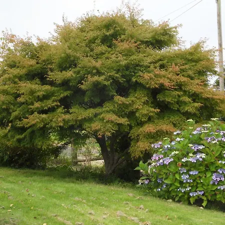 Bed & Breakfast Et Table D'hotes Du Vieil Hetre