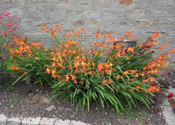 Et Table D'hotes Du Vieil Hetre Mantilly