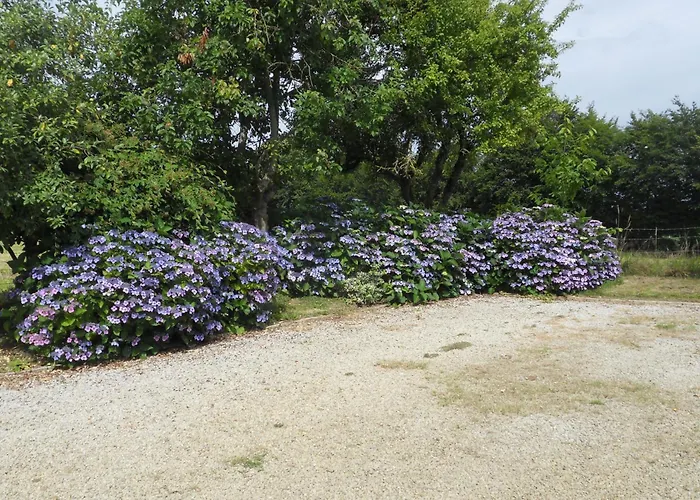 Et Table D'hotes Du Vieil Hetre 3* Mantilly