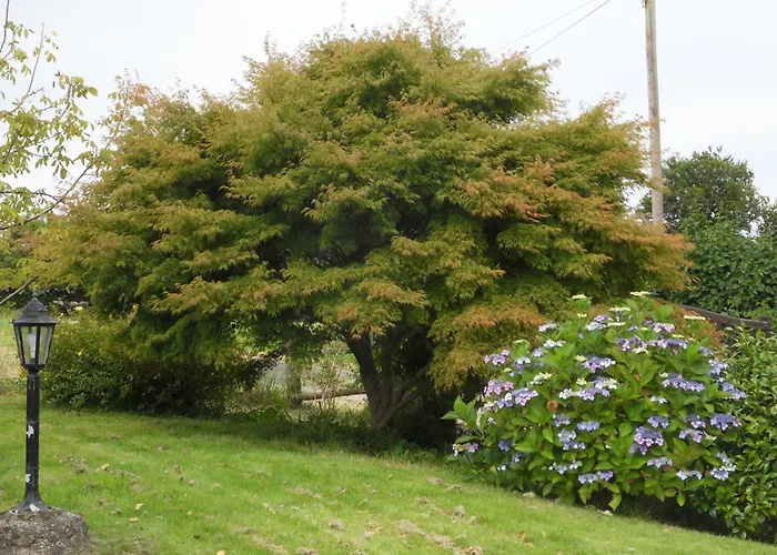 B&B Et Table D'hotes Du Vieil Hetre